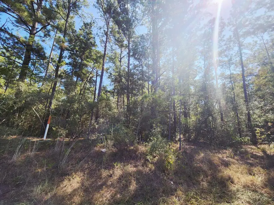 PID 106057 Hwy 87 N, Newton, TX 75966 - #3