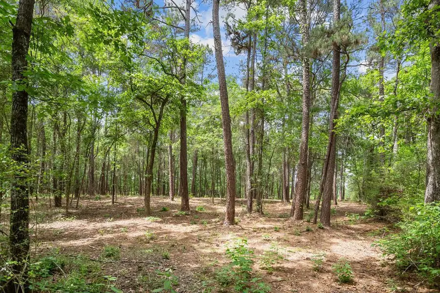 R110347 Fm 1194s, Lufkin, TX 75904 - #2