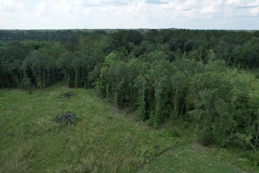 R153782 Pahal Road, Huntington, TX 75949 - #2