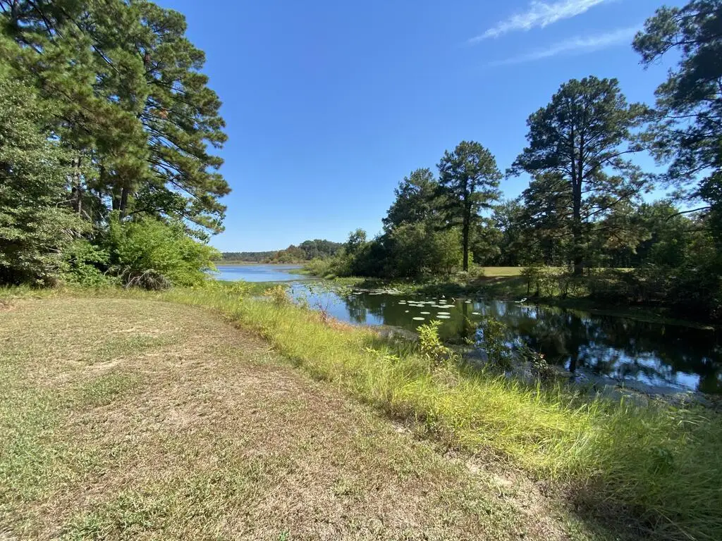 1220 Shawnee Shores Drive, Hemphill, TX 75948 - #1