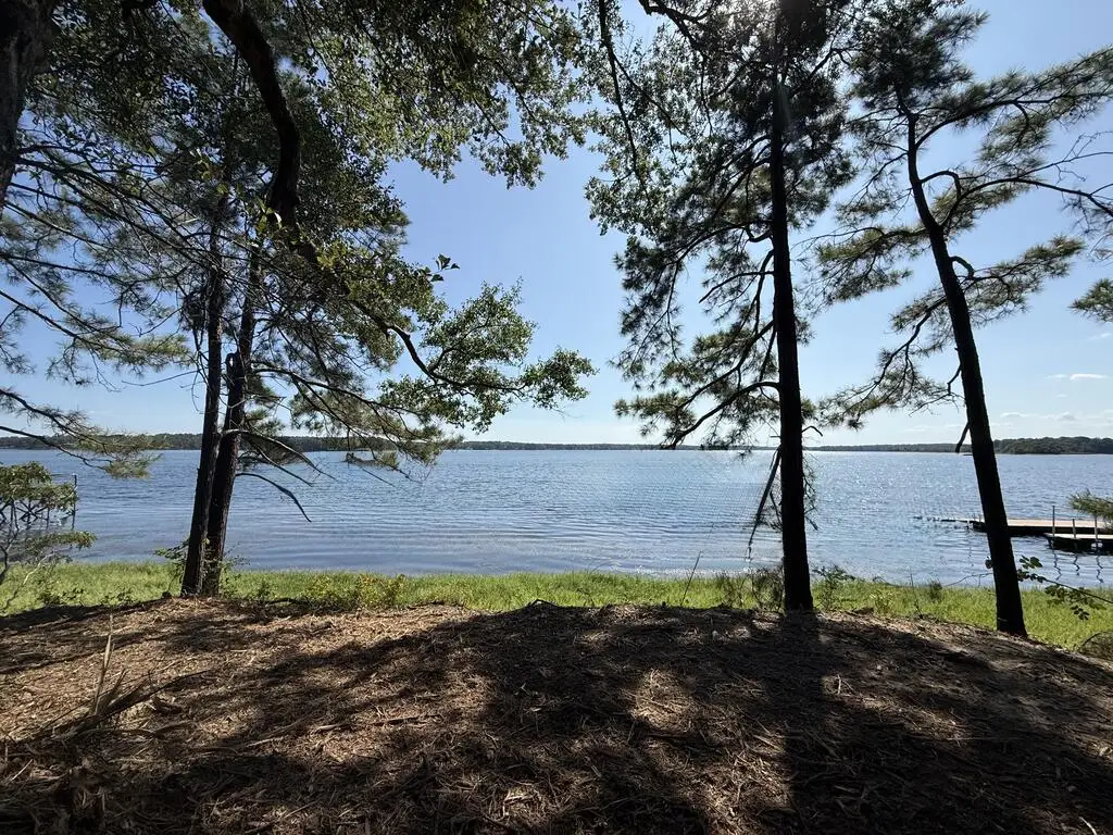 2284 Gilleys Point, Hemphill, TX 75948 - #1