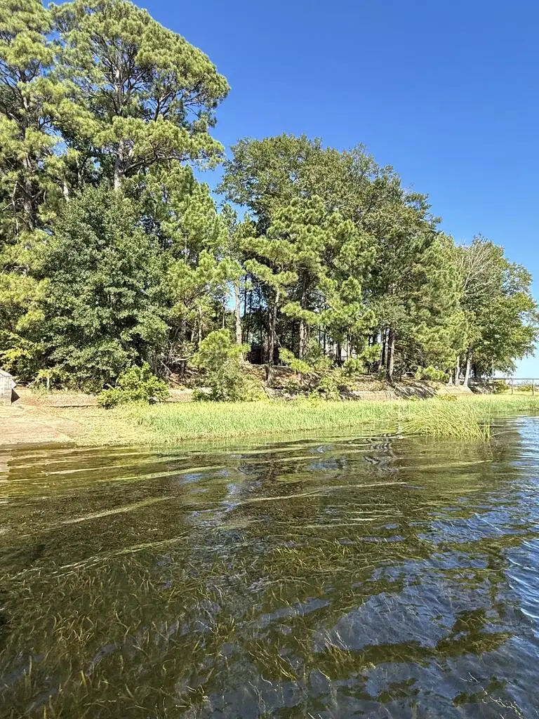 2284 Gilleys Point, Hemphill, TX 75948 - #2