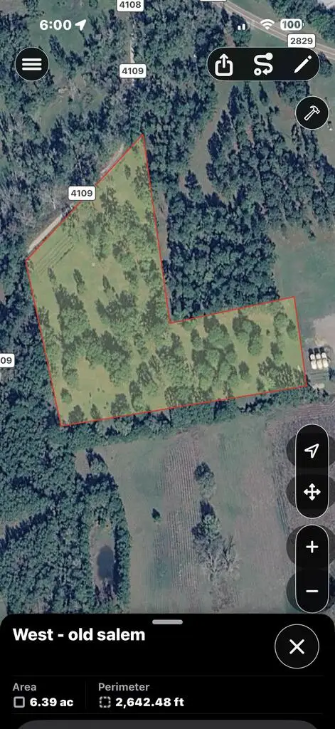 217 County Road 4109, Call, TX 75933 - #1
