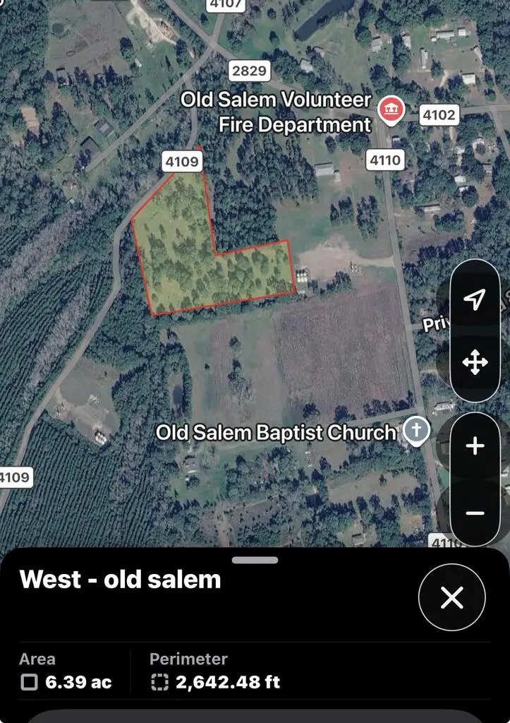 217 County Road 4109, Call, TX 75933 - #2