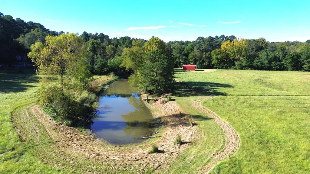 PARCEL#29651 Fm 357, Kennard, TX 75847 - #1