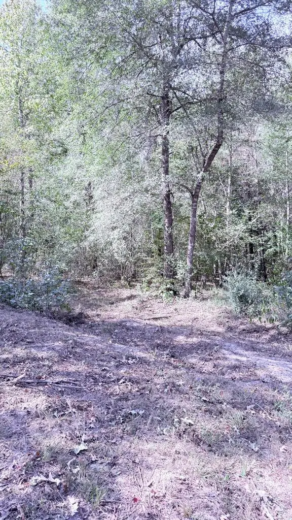 752 County Road 1058, Wiergate, TX 75977 - #1
