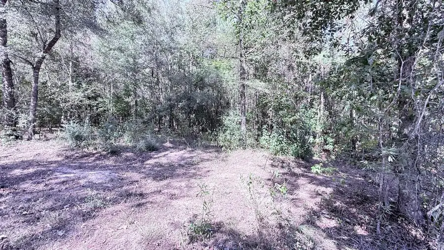 752 County Road 1058, Wiergate, TX 75977 - #3