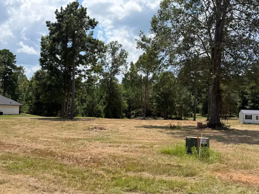 452 Old Tejas Trail East, Hemphill, TX 75948 - #3