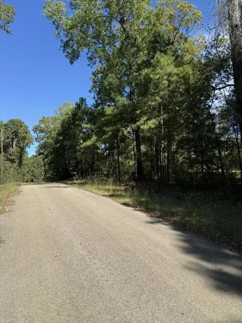 765 Vacation Point, Hemphill, TX 75948 - #2