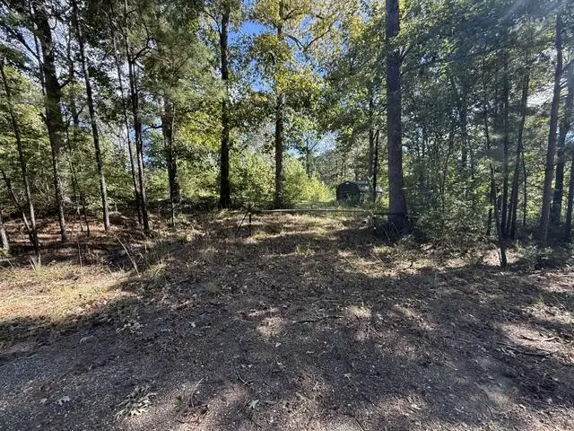 765 Vacation Point, Hemphill, TX 75948 - #3