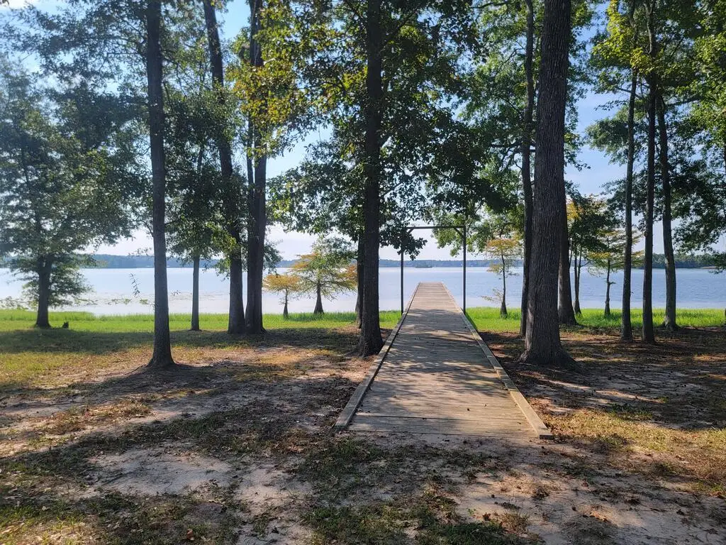 1904 Gilleys Point, Hemphill, TX 75948 - #1