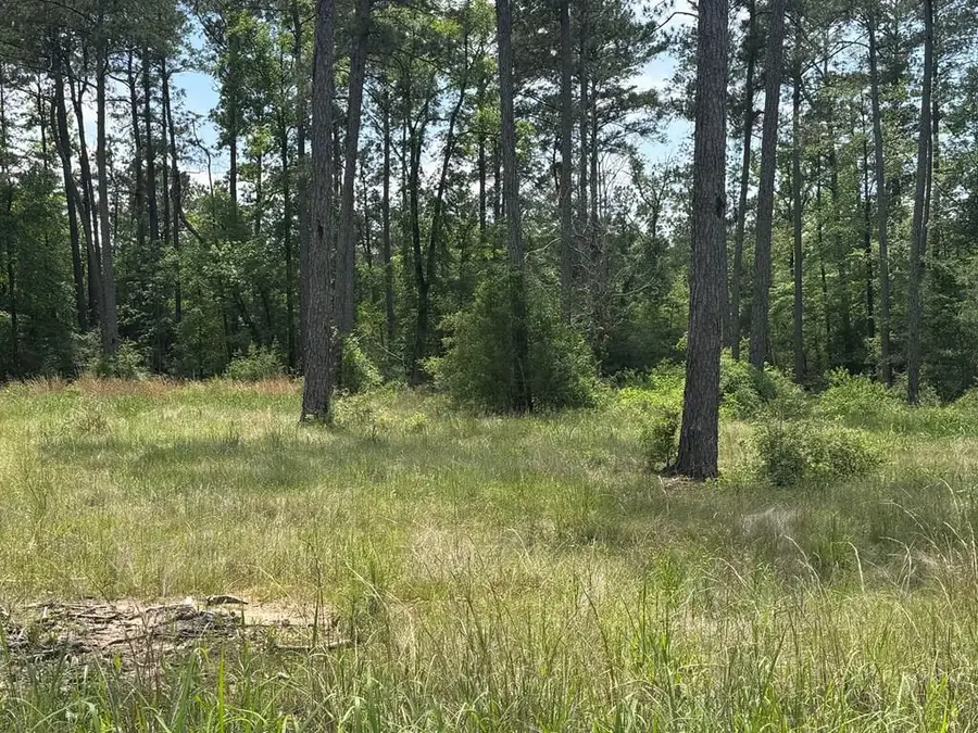 Lot 009 Private Rd 6028, Brookeland, TX 75931 - #2