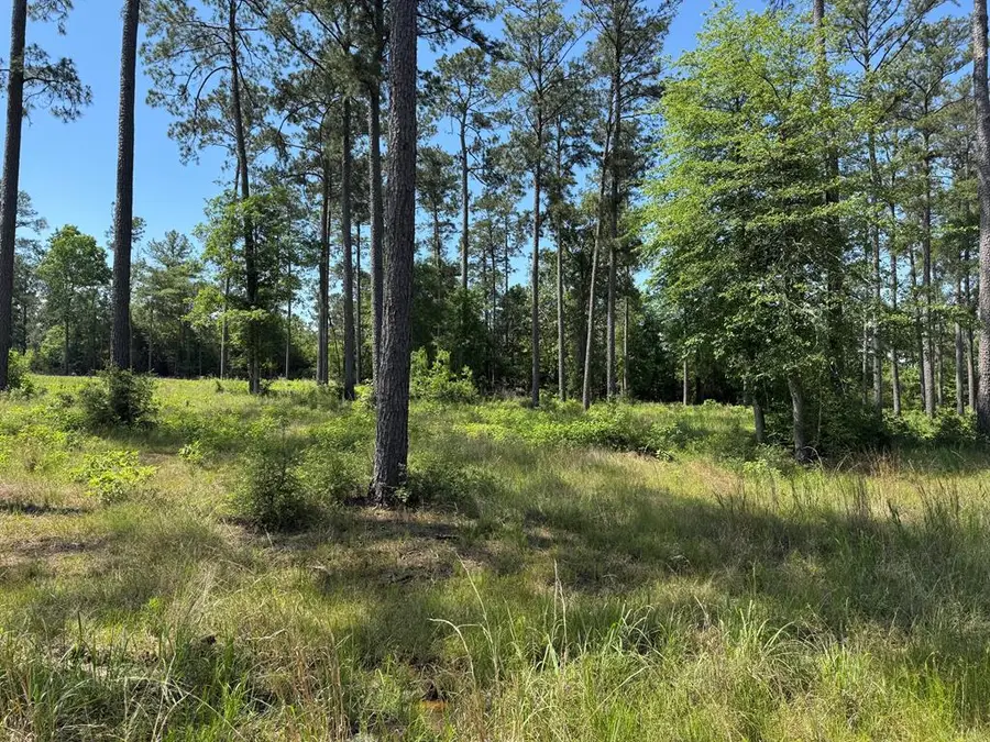 Lot 009 Private Rd 6028, Brookeland, TX 75931 - #3