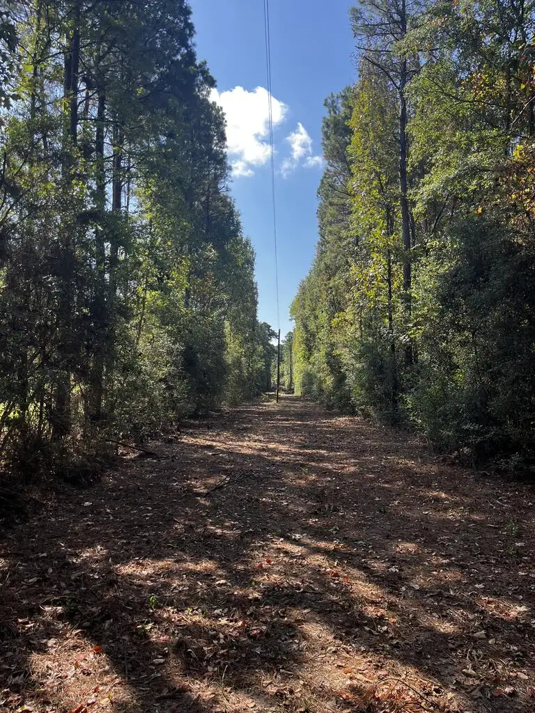 00 Fm 357, Kennard, TX 75847 - #3