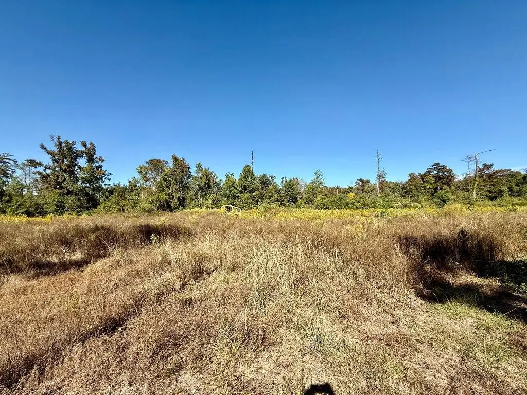 290 County Road 130, Jasper, TX 75951 - #1