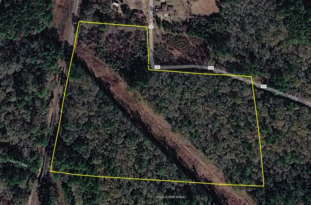 259 County Road 559, Kirbyville, TX 75956 - #1