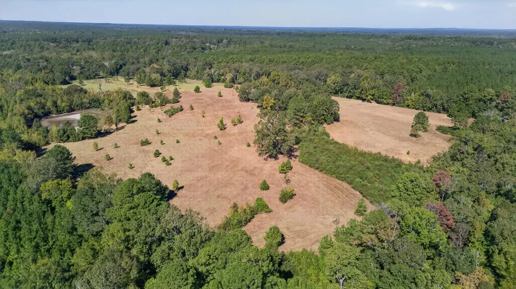 825 Bennet Drive, Hemphill, TX 75948 - #1