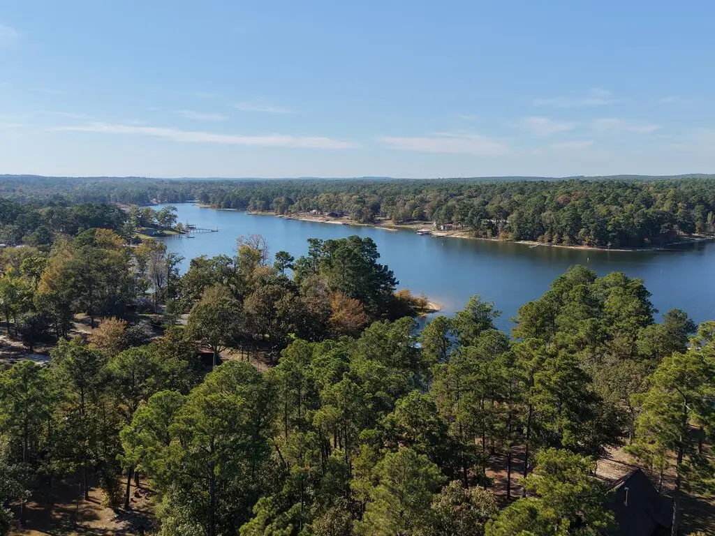 247 Lynnwood Drive, South Toledo Bend, TX 75965 - #1