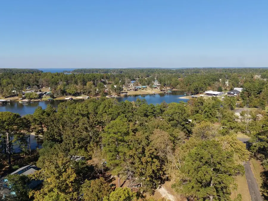 247 Lynnwood Drive, South Toledo Bend, TX 75965 - #2