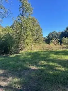 1790 Cr 410, San Augustine, TX 75972 - #2