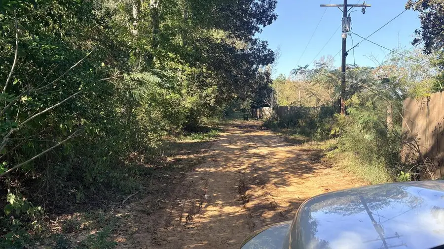 00 County Road 4426, Spurger, TX 77660 - #3