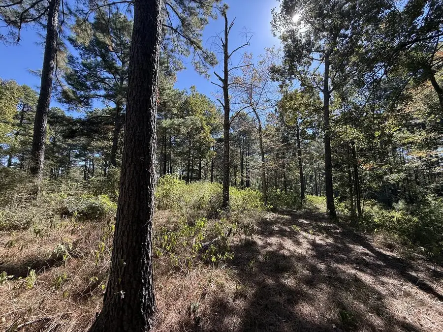 625 Cleawater Drive, Hemphill, TX 75848 - #2