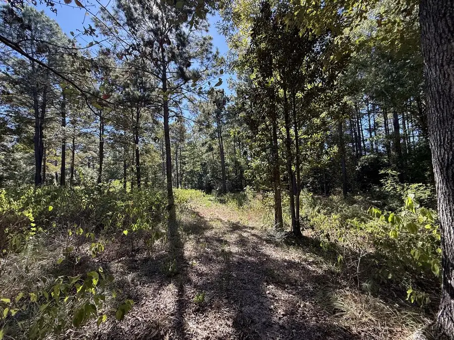 625 Cleawater Drive, Hemphill, TX 75848 - #3