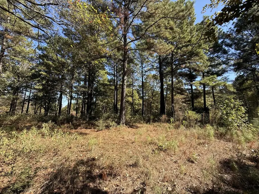 311 Cleawater Drive, Hemphill, TX 75848 - #3