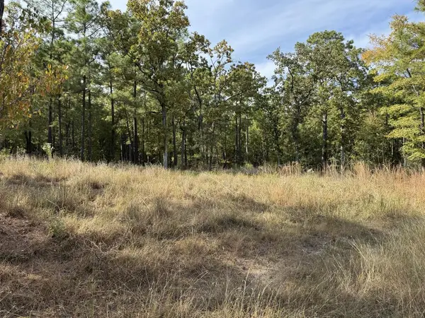 Lots 62-64 Cove Point Drive, Brookeland, TX 75931