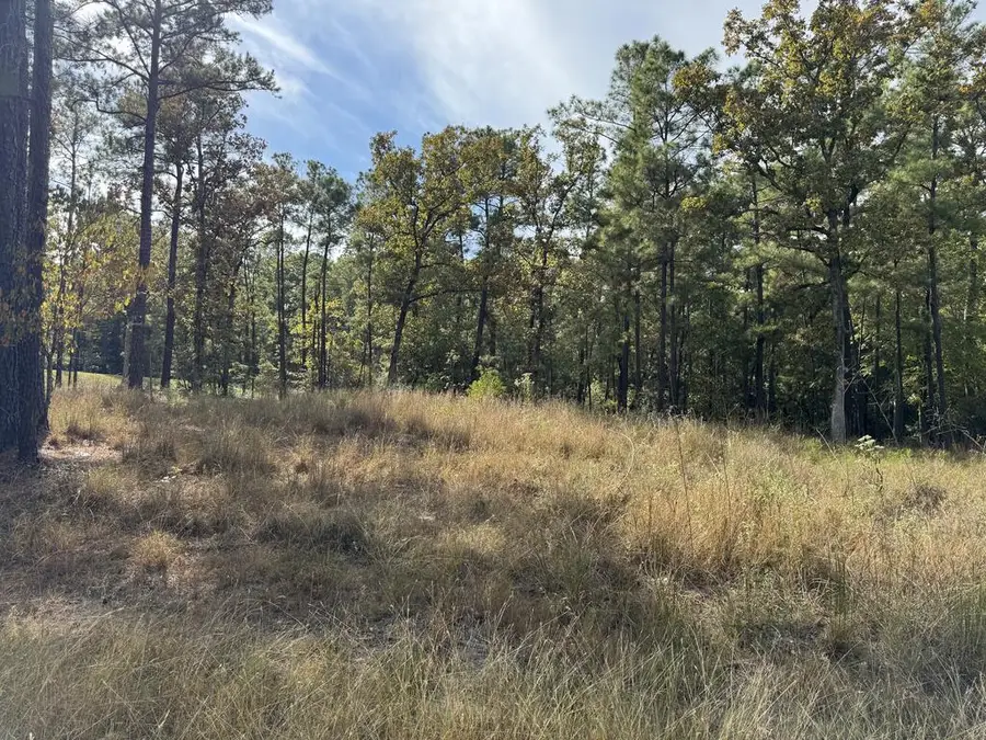 Lots 62-64 Cove Point Drive, Brookeland, TX 75931 - #2