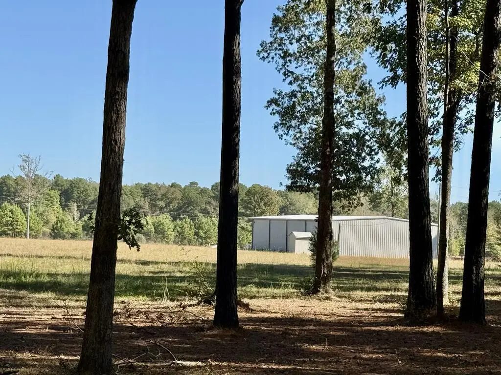 213 Cleawater Drive, Hemphill, TX 75848 - #1