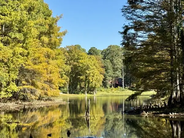 711 Cleawater Drive, Hemphill, TX 75948