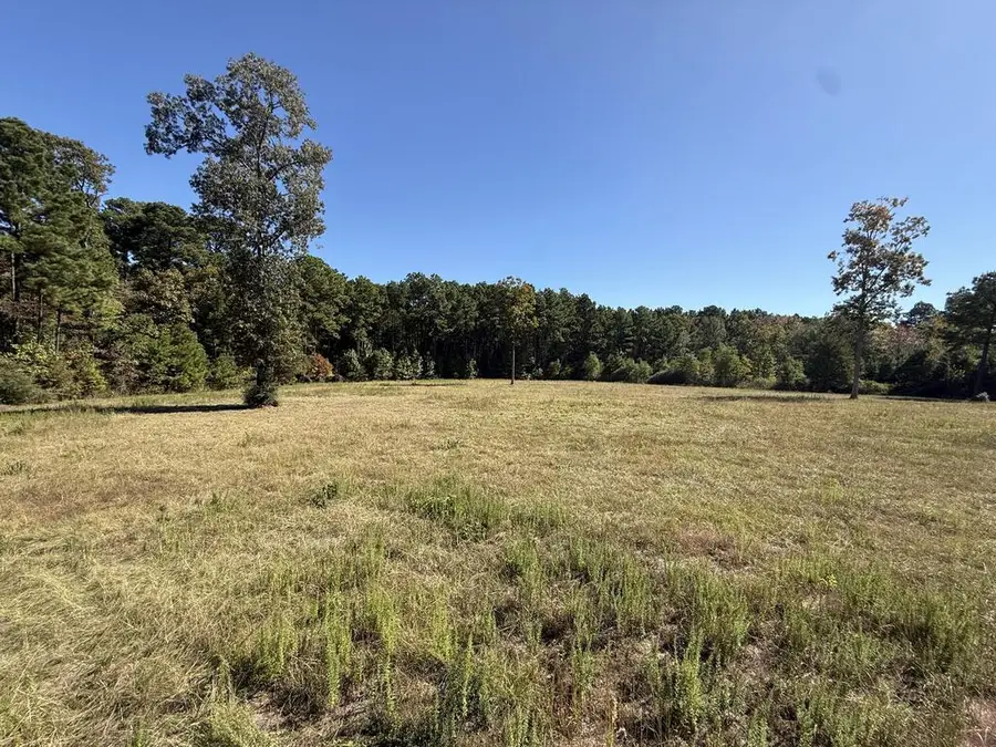 586 Tom Low Rd, Hemphill, TX 75848 - #3