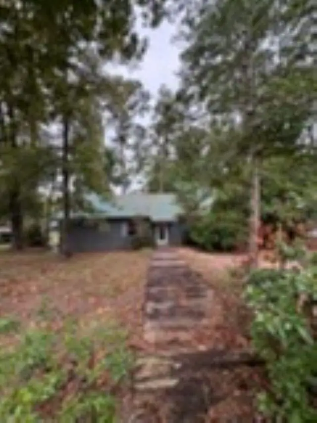 114 Sumac Drive, Burkeville, TX 75932 - #1