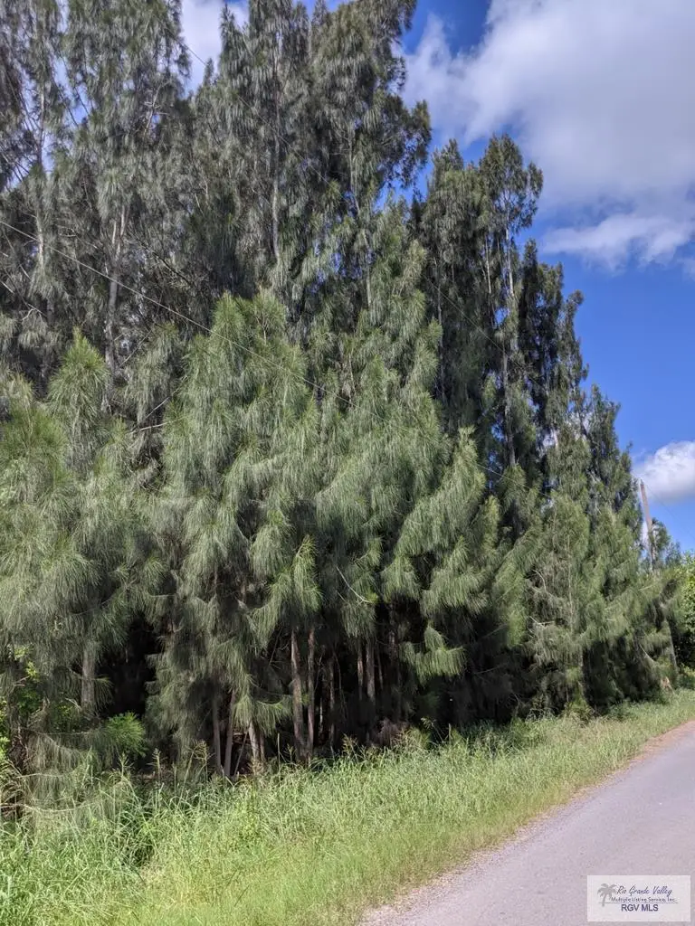 0 Stanford Rd., Los Fresnos, TX 78566 - #1