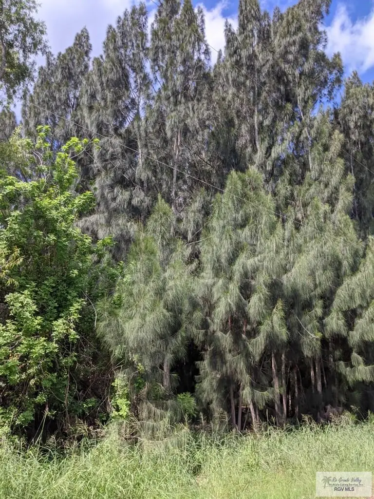 0 Stanford Rd., Los Fresnos, TX 78566 - #3