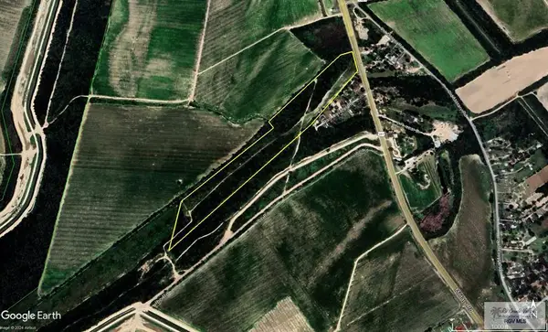 24.659 Acs Us Highway 281, BROWNSVILLE, TX 78520