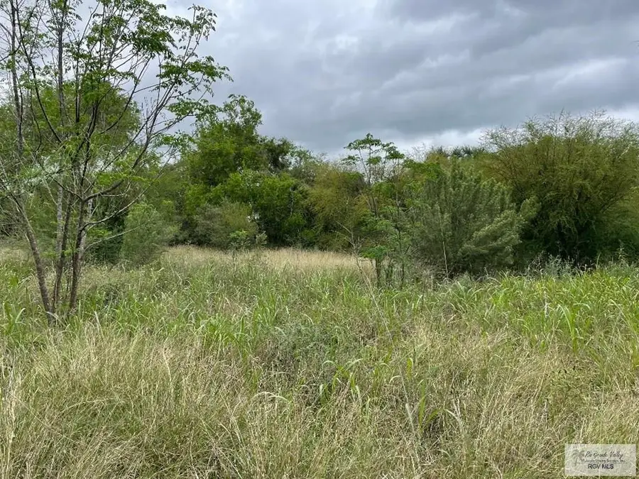 24.659 Acs Us Highway 281, Brownsville, TX 78520 - #3