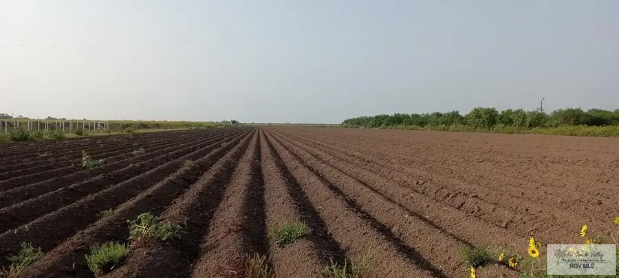 10.00 Acres N Mile 4, Mercedes, TX 78570 - #2