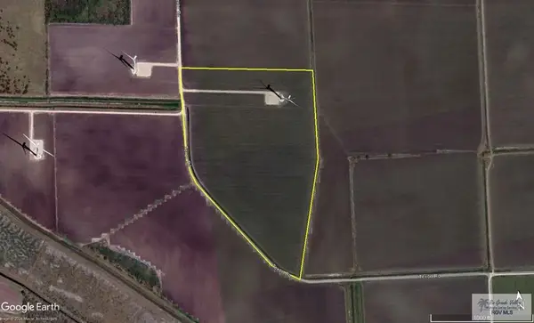 47.53 Acres Texon Rd, RIO HONDO, TX 78583