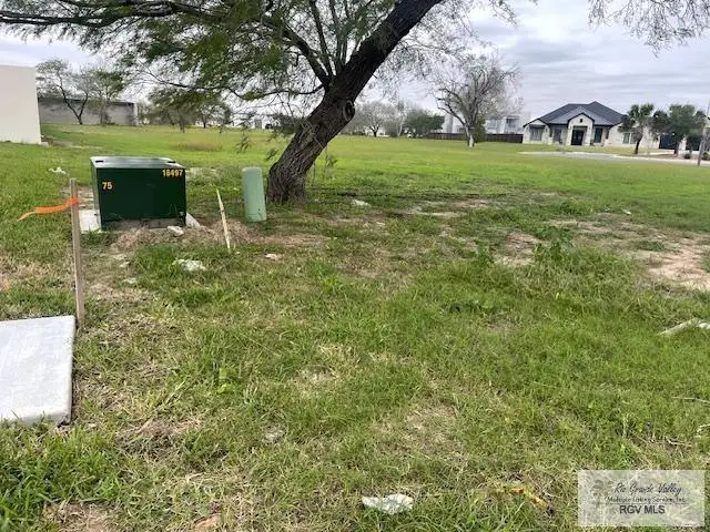 00 Lampasitos Ct, Brownsville, TX 78520 - #3