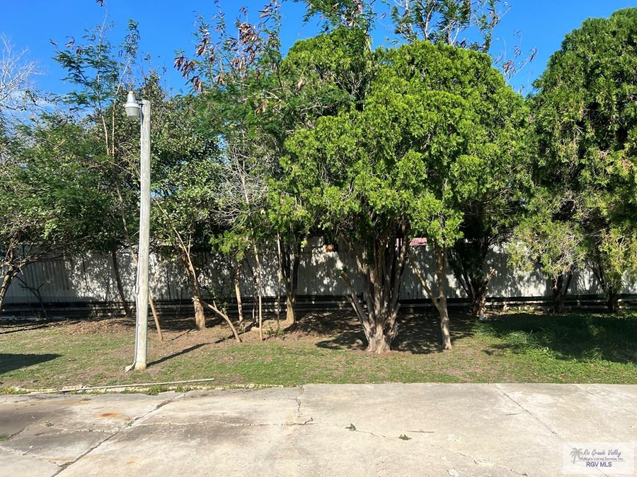 820 Scott Brown Blvd., San Benito, TX 78586 - Image #2