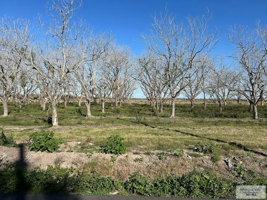 Lot 12 Doan Road, Harlingen, TX 78552 - Image #2