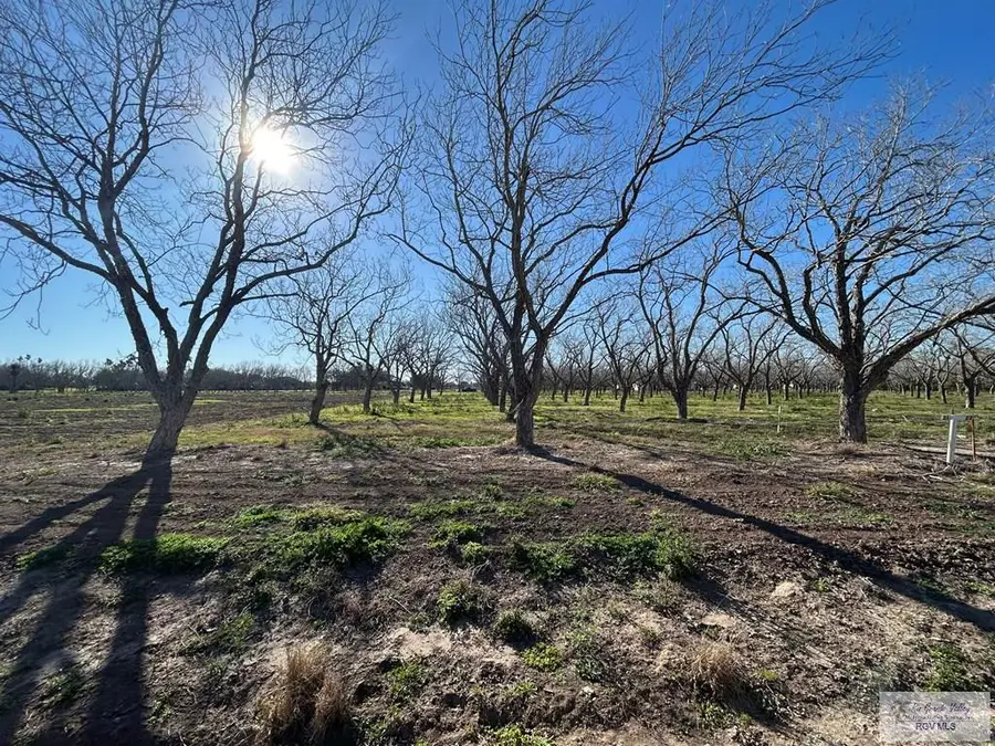 Lot 21 Cook Ln., Harlingen, TX 78552 - Image #2