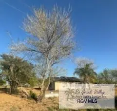 0000 W Cantu Rd., Santa Rosa, TX 78593 - #1