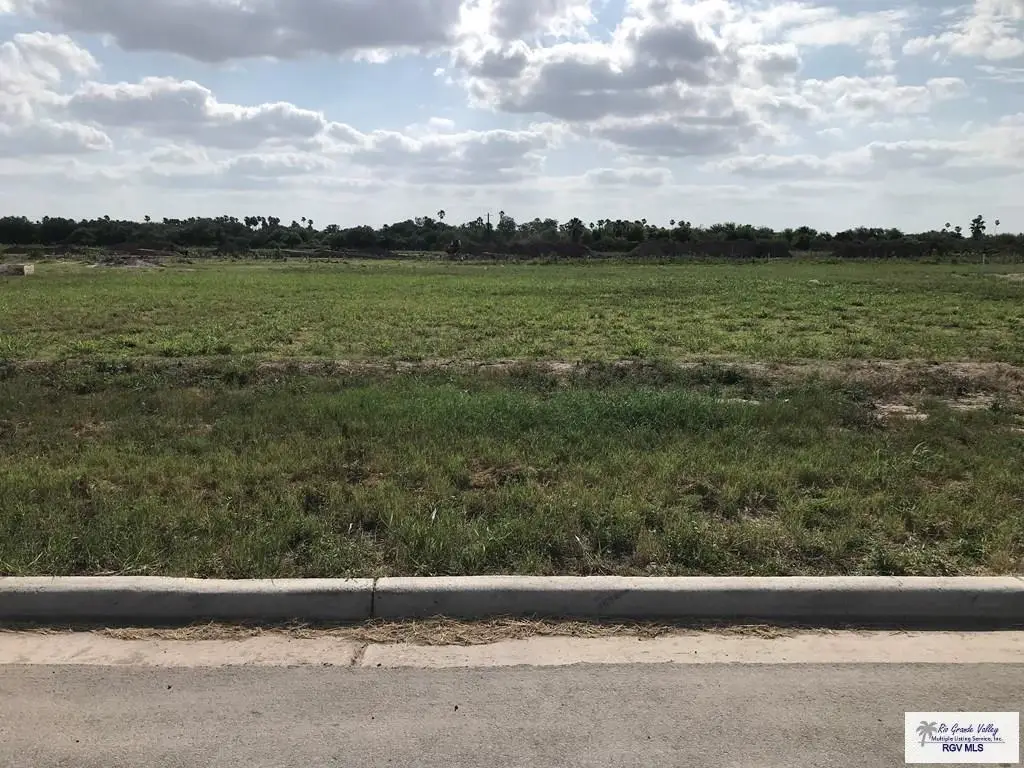 1213 Thacker Lane, Harlingen, TX 78552 - #1