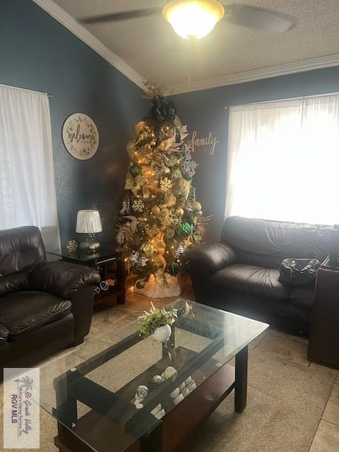 1181 Dukie Dr., Brownsville, TX 78520 - Image #3