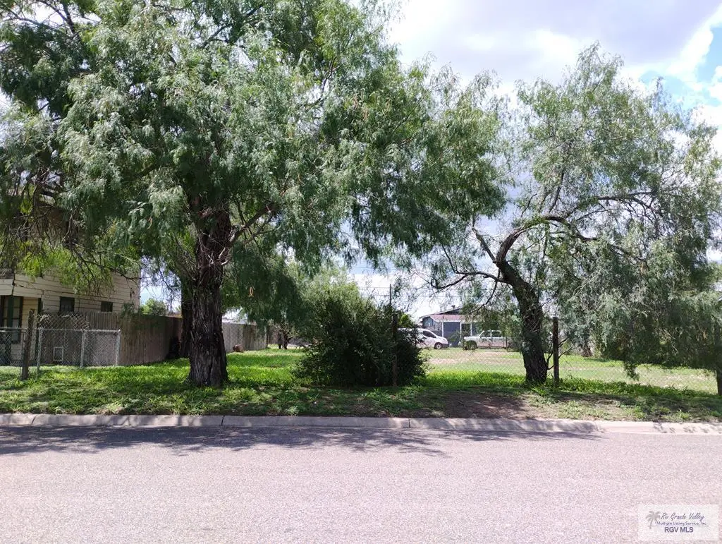 210 W Primrose Ave. #34-35-36, La Feria, TX 78560 - #1