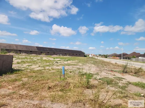 lot 19 Willow Palm Court, BROWNSVILLE, TX 78526