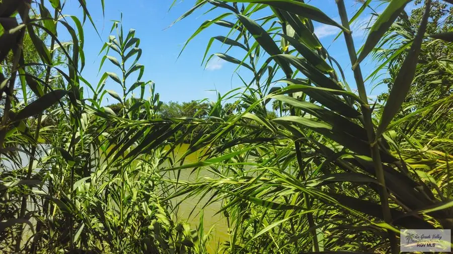 1271 N Illinois, Brownsville, TX 78521 - #3